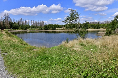 Semmelwieser Teich Oberharzer Wasserwirtschaft 820 Bilder